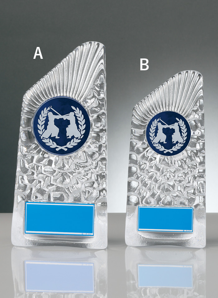 JW-RS-6088-kendo 剣道専用の種目取替えが可能なガラス製表彰楯