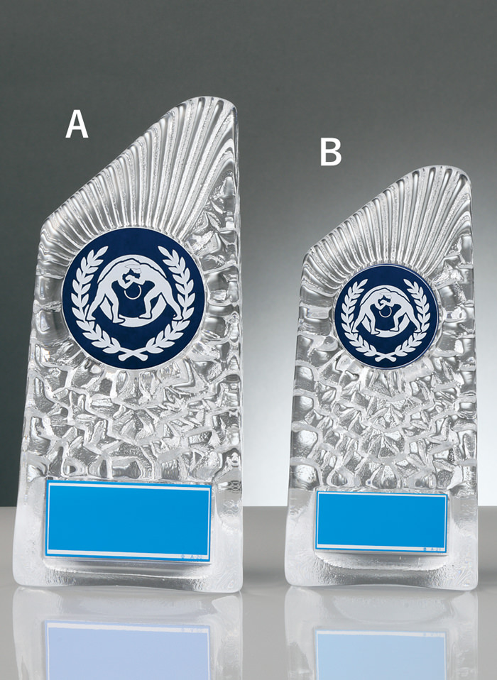 レスリング用ガラス楯 JW-RS-6088-wrestling