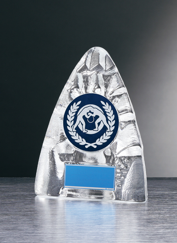 レスリング用のガラス製表彰楯 JW-RS-6090-wrestling