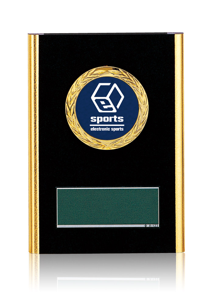 ロングセラーの定番木製表彰楯　JW-RS-6097-esport