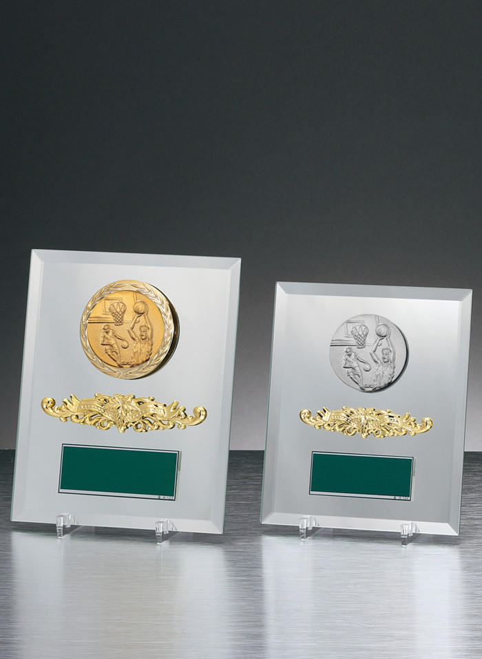 美しく輝く格安バスケットボールミラー楯 JW-S-6019-basketball