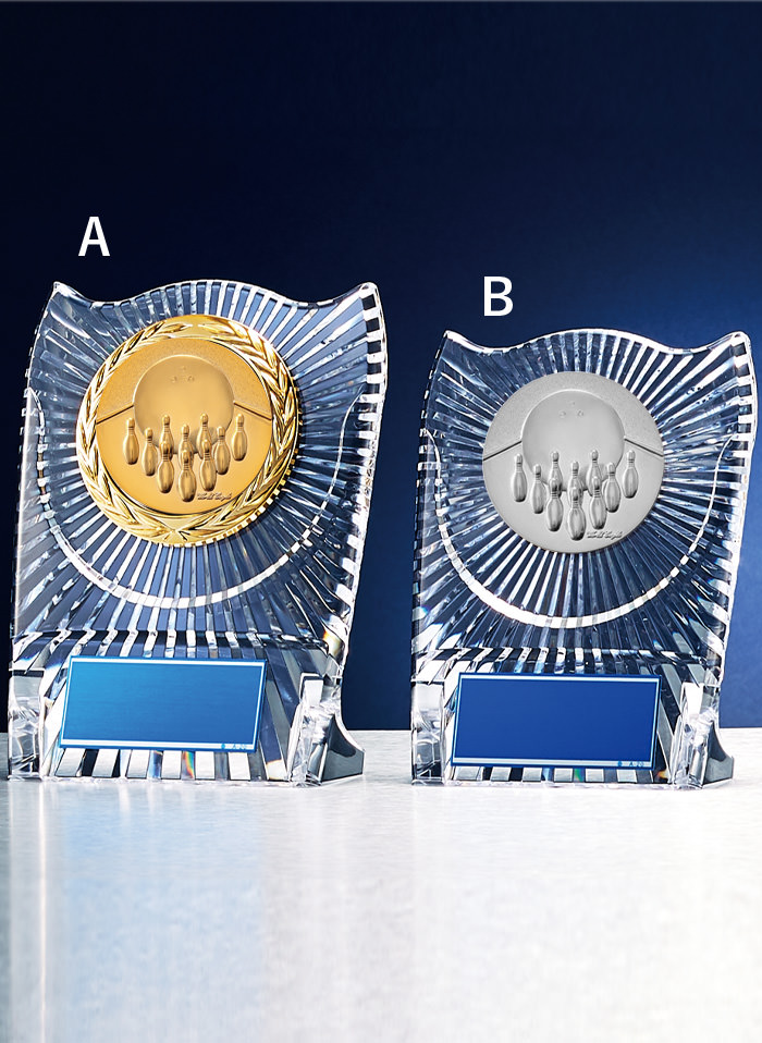 ボーリング用アクリル製表彰楯　JW-S-6057-bowling