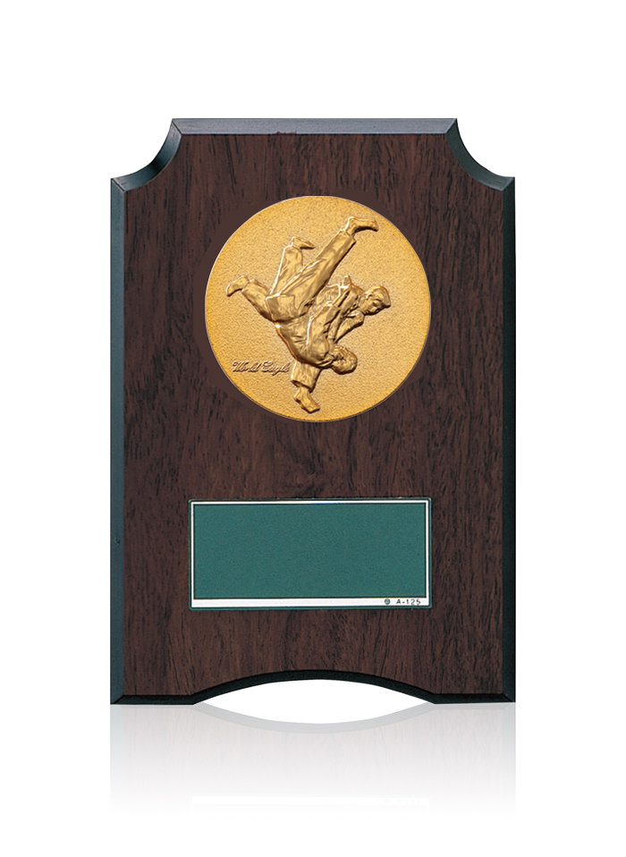 柔道専用の低価格表彰楯　JW-S-6059-judo