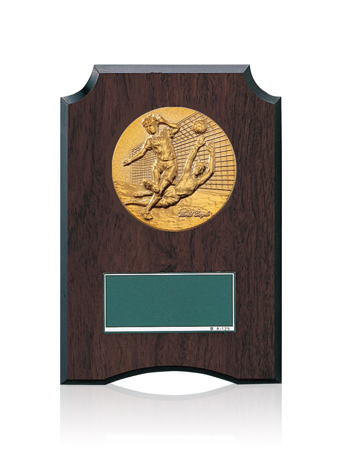 サッカー・フットサル専用の低価格表彰楯　JW-S-6059-soccer