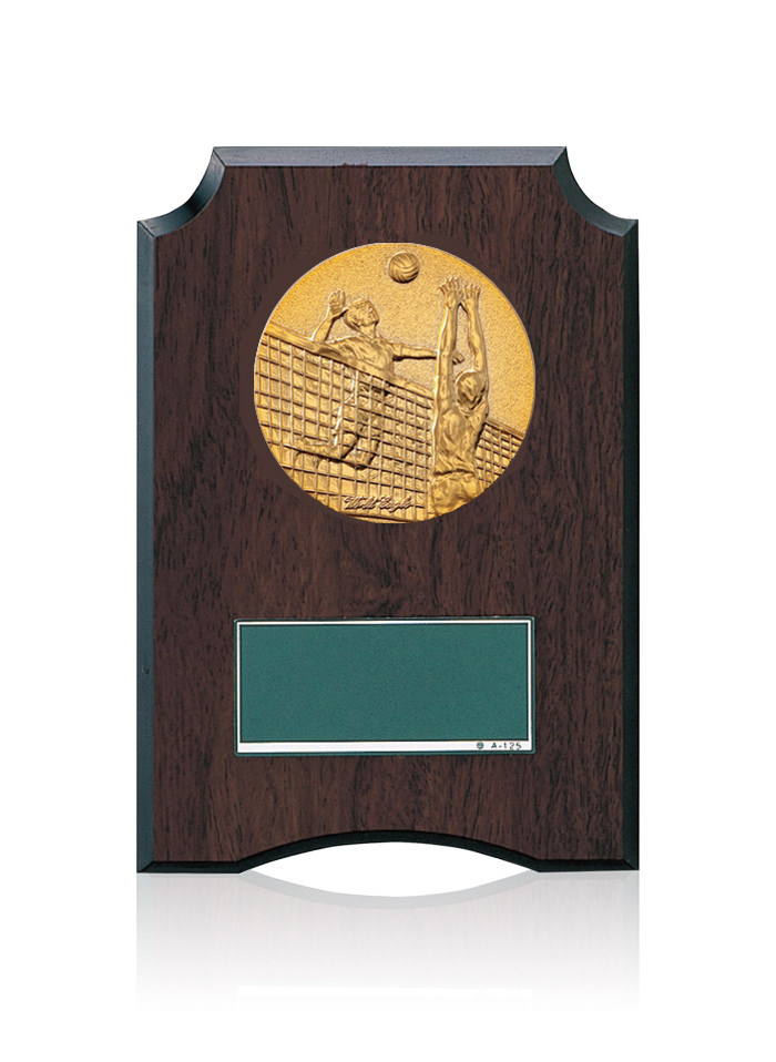 バレーボール専用の低価格表彰楯　JW-S-6059-volleyball