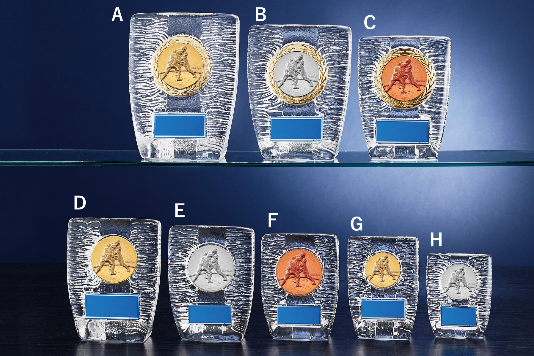 相撲メダルが埋め込まれたガラス製表彰楯 JW-S-6141-combat-other
