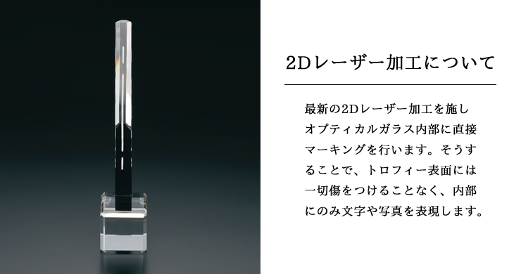 オプティカルガラストロフィーの内部に加工する2Dレーザー加工のご紹介 JW-SHD-7568