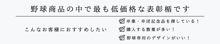 透明感のあるアクリル素材の格安野球表彰楯の説明 JW-SO-5270