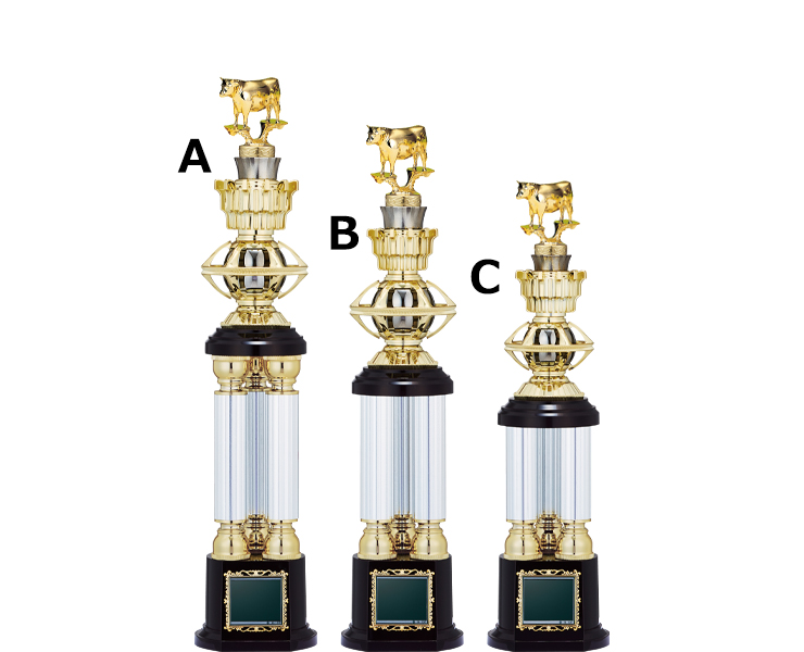 三本柱が印象的な品評会チャンピオントロフィー JW-TO-3250-fair