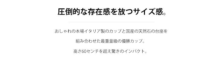 JW-C-1046　イタリア生まれの特大サイズの優勝カップ