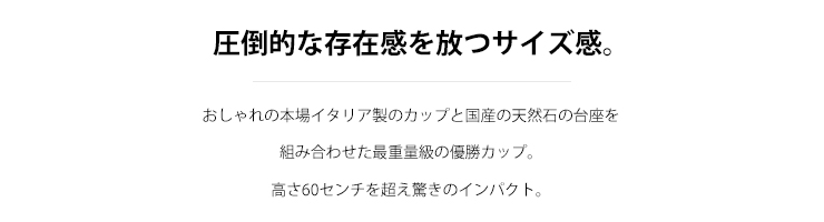 JW-C-1181　イタリア生まれの特大サイズの優勝カップ