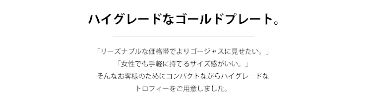 お客様のご希望によって誕生した低価格でゴージャスな表彰トロフィー　JW-JT-3260